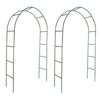 Garden Arch 2 pcs Climbing Plants