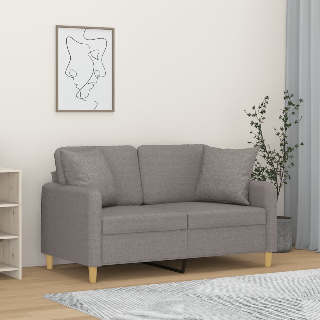 vidaXL 2-Seater Sofa with Throw Pillows Light Grey 120 cm Fabric