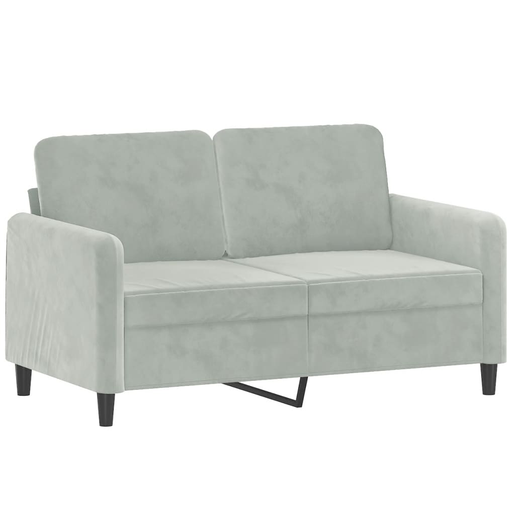 vidaXL 2 Piece Sofa Set with Pillows Light Grey Velvet