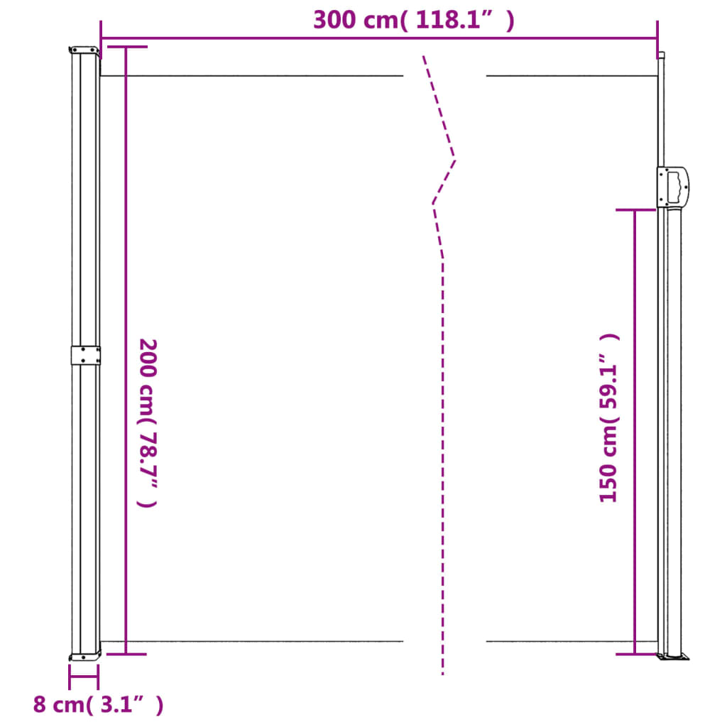 vidaXL Retractable Side Awning Black 200x300 cm