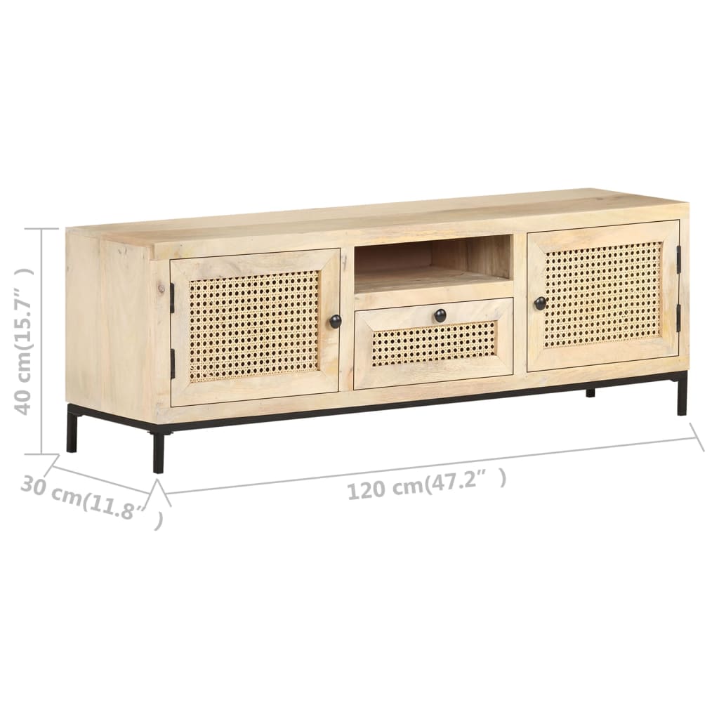 vidaXL TV Cabinet 120x30x40 cm Solid Mango Wood and Natural Cane